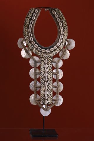 Pectoral