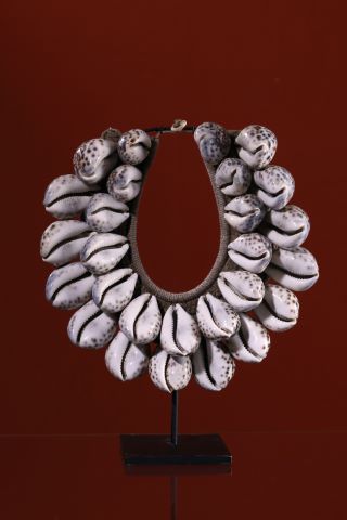 Pectoral