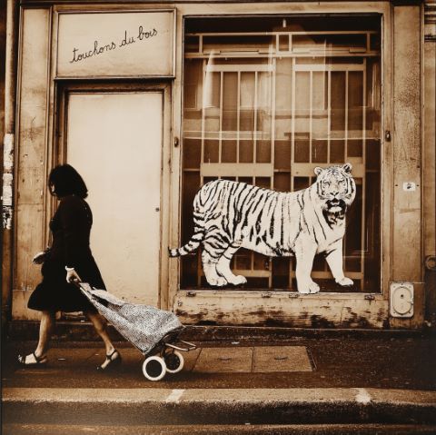 Le Tigre, rue de la tour d'Auvergne, 75009