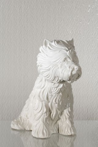 Vase Puppy