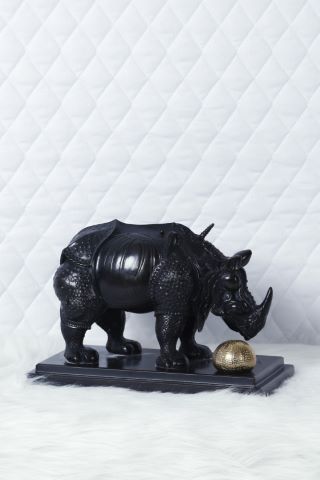 Le Rhinocéros habillé en dentelles
