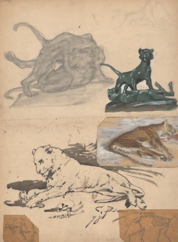 Ensemble de 18 feuilles d’études : Tigres dans l’arène, Fauves,…