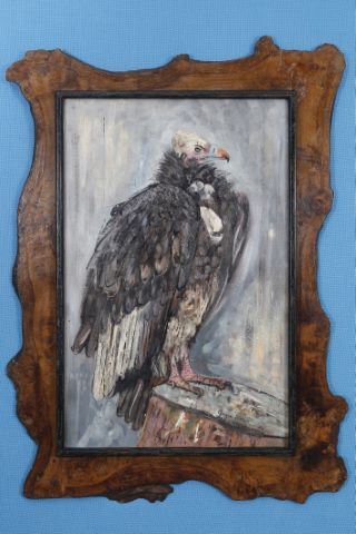 Vautour