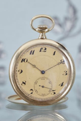 Plojoux, Genève, n°7033 Montre de gousset