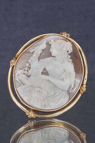 Broche camée