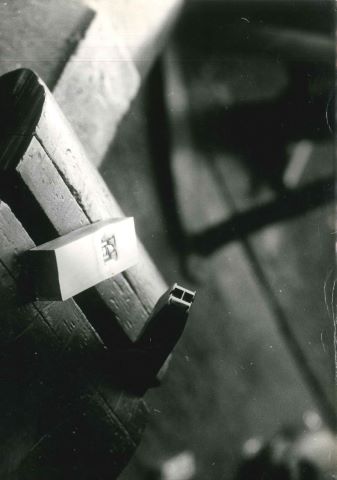 Ensemble de photographies et spécimens...