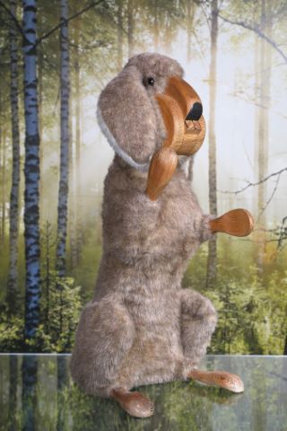 Lapin