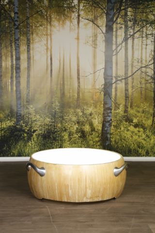 Table basse « Lady Bath »