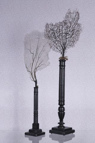 Deux gorgones