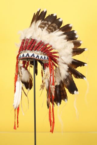 Coiffe amérindienne dite “Lakota”