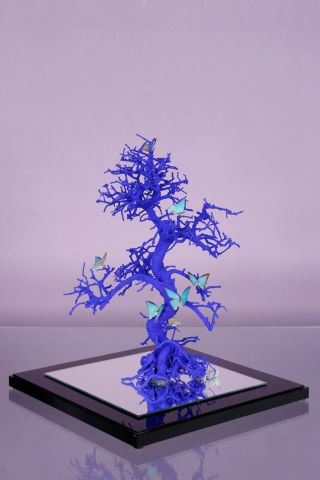 Bonsaï aux papillons, hommage à Yves Klein