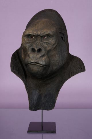 Yves Gaumetou (né en 1951) Tête de gorille
