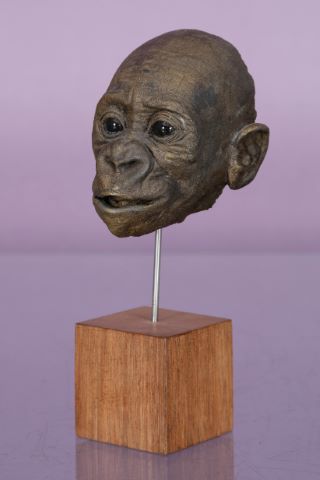 Yves Gaumetou (né en 1951) Tête de bébé gorille