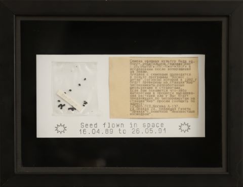 Graines ayant volé dans l'espace entre le 16/04/1989 et le…