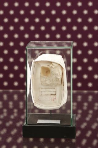#Nasa Coussin thermique ayant volé dans l’espace