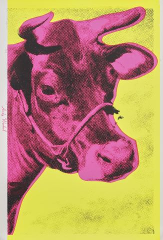 Cow Wallpaper jaune