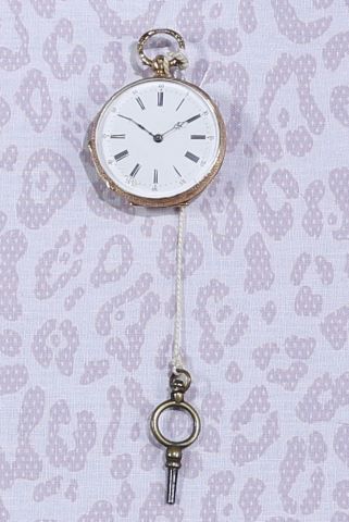 Montre de col