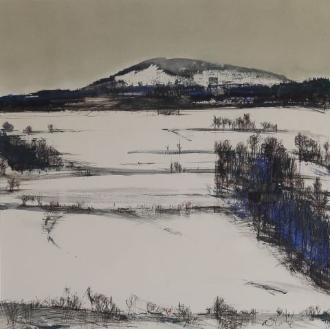 Paysage d'hiver