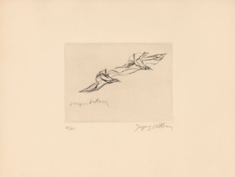 Deux oiseaux