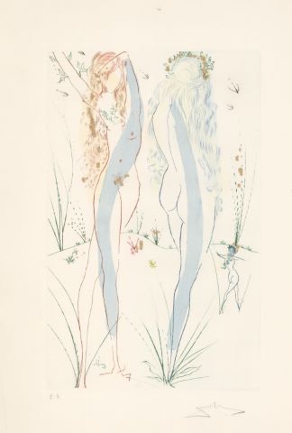 Reviens, ô Sulamite.., planche 12 du Cantique des Cantiques (The…