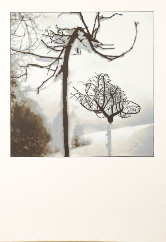 Winter 7