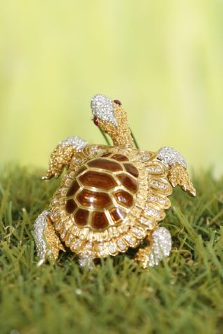 Broche tortue