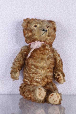 Ours en peluche