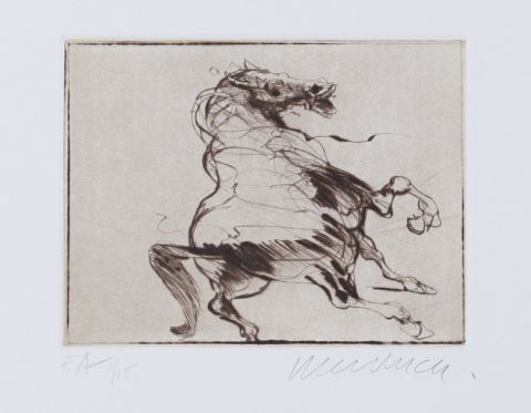 Cheval