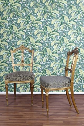 Paire de chaises