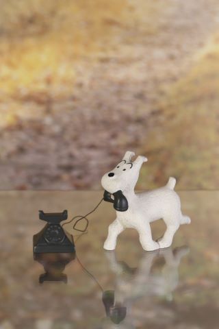 Leblon-Delienne Milou et le téléphone