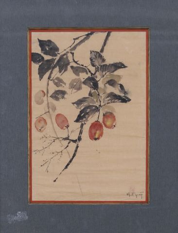 Fleurs