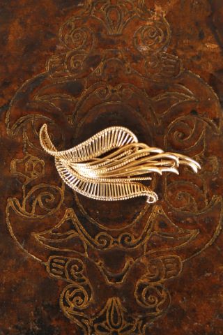 Broche