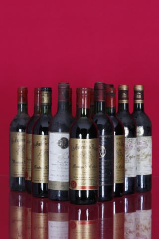 Ensemble de 13 bouteilles comprenant :