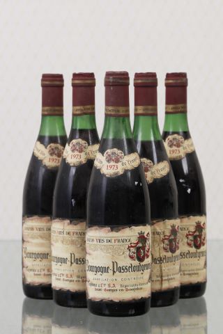 Bourgogne-Passetoutgrains 6 bouteilles