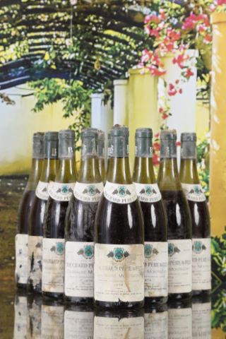 Bouchard Père & Fils, Chassagne-Montrachet 11...