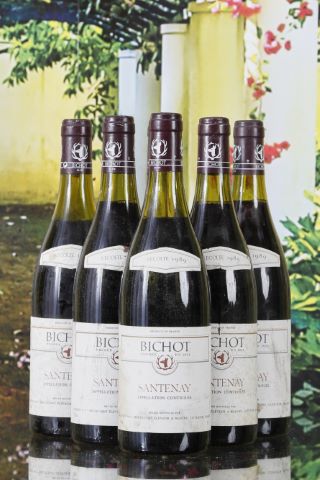 Bichot, Santenay 6 bouteilles