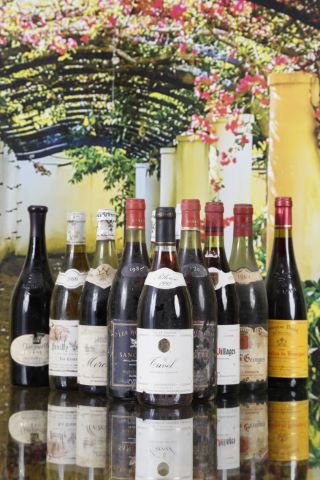 Vins de Bourgogne et environs 18 bouteilles