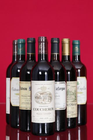 Ensemble de 8 bouteilles
