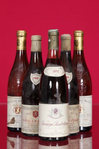 Ensemble de 5 bouteilles