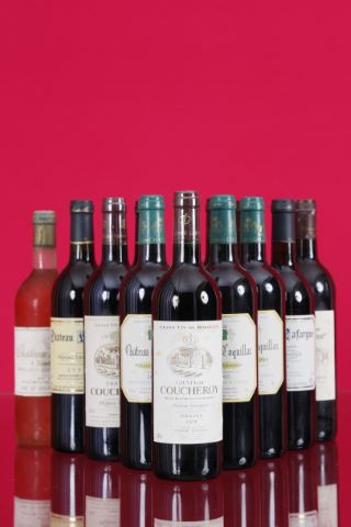 Pessac-Léognan 12 bouteilles [+1]