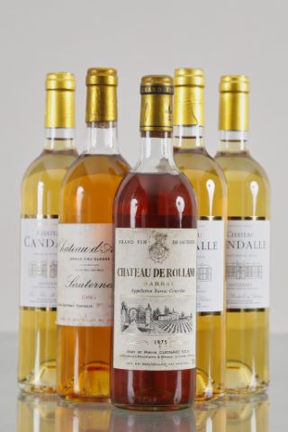 Ensemble de 5 bouteilles