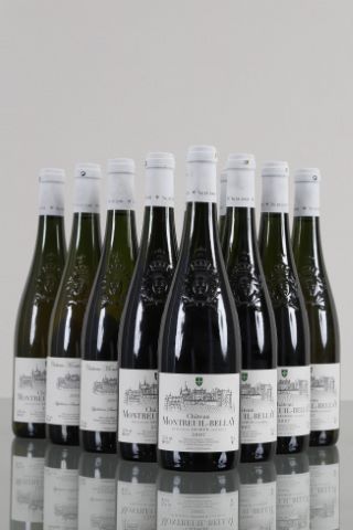 Ensemble de 11 bouteilles