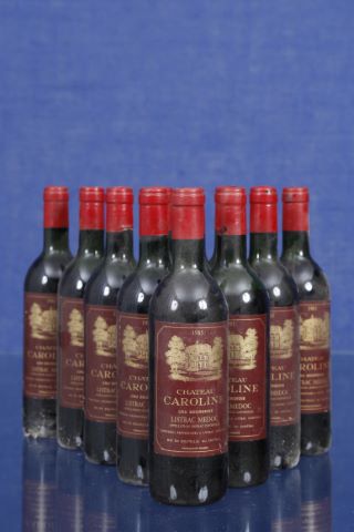 Château Caroline, Listrac Médoc 11 bouteilles