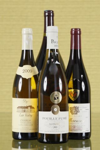 Ensemble de 4 bouteilles