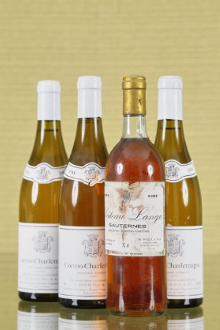 Ensemble de 4 bouteilles de vin blanc