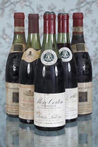 Vins rouges 5 bouteilles