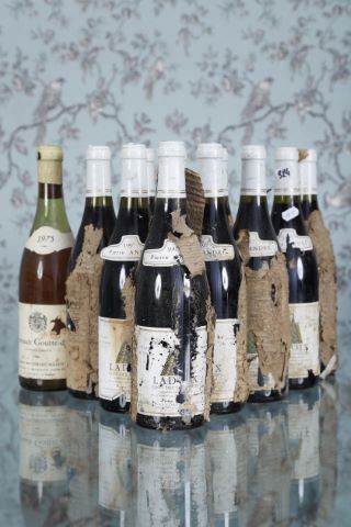 Ladoix Clos des Chagnots, Pierre André 10...