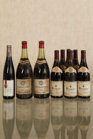 Ensemble de 9 bouteilles