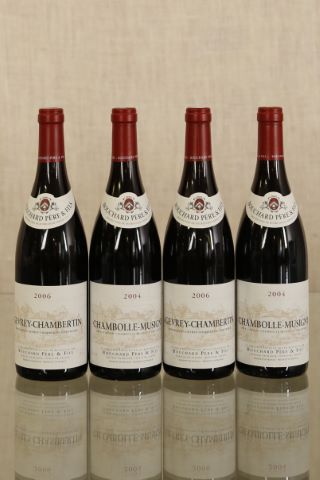 Ensemble de 4 bouteilles