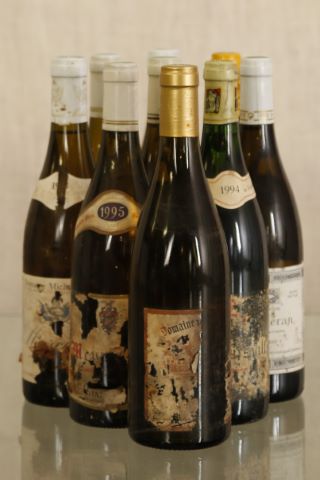 Ensemble de 9 bouteilles